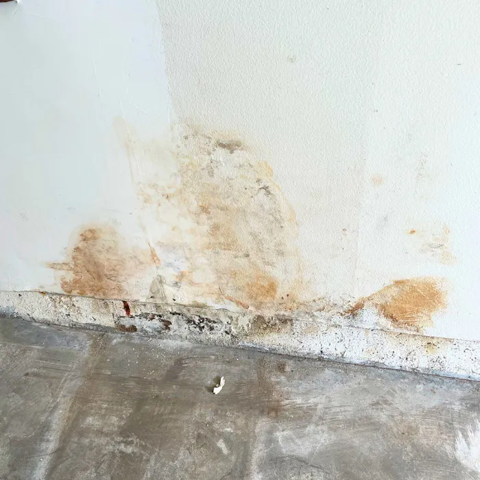 SERVPRO of Ventura Picture 9