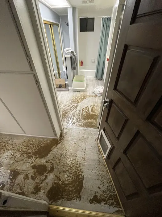 Water Damage Services Picture 5