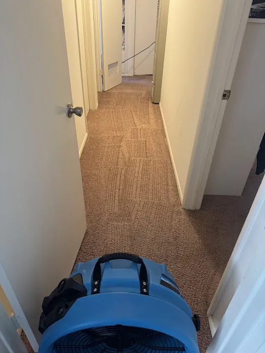 Steamworks Carpet Cleaning and Water Damage Restoration Picture 1