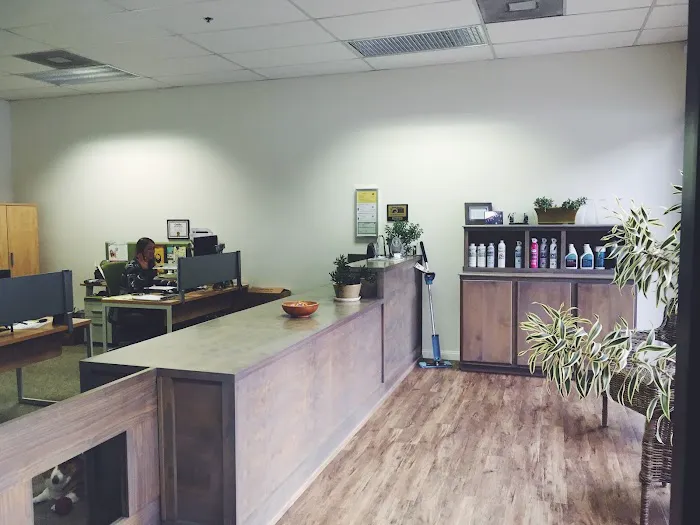 Pacific Breeze Chem-Dry Picture 10