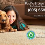 Pacific Breeze Chem-Dry