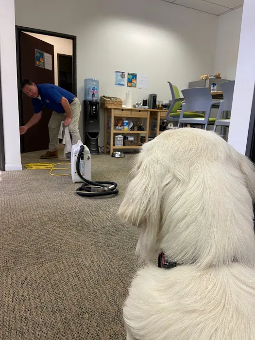 Pacific Breeze Chem-Dry Picture 4