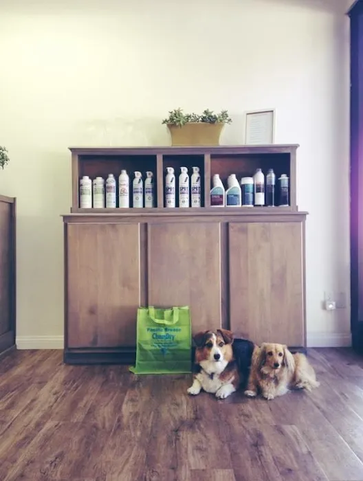 Pacific Breeze Chem-Dry Picture 9