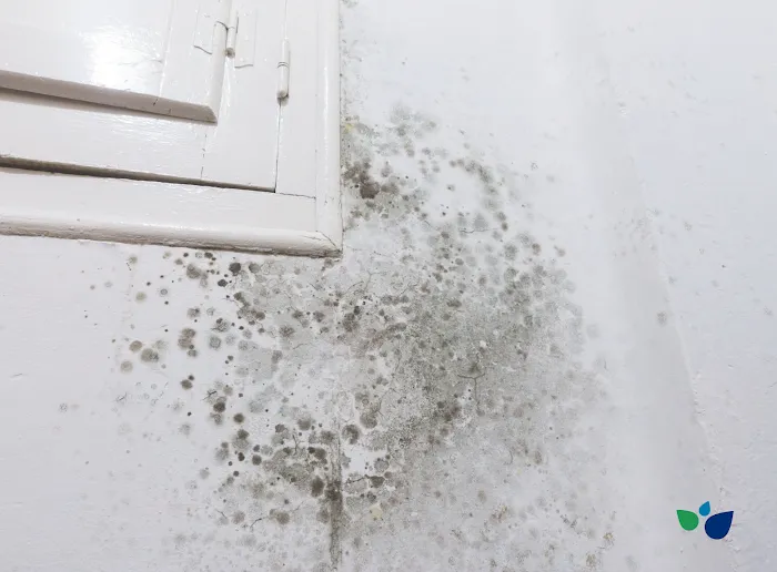 Precision Environmental Picture 4