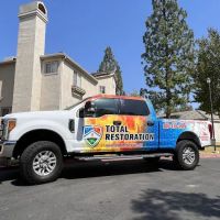 Total Restoration ico