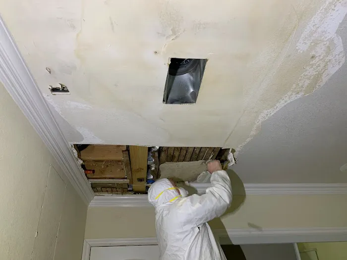 411 Restoration Picture 7