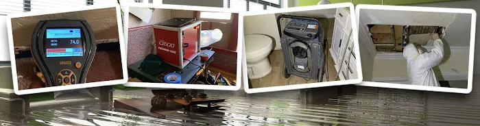 411 Restoration Picture 5