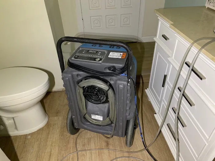 411 Restoration Picture 3