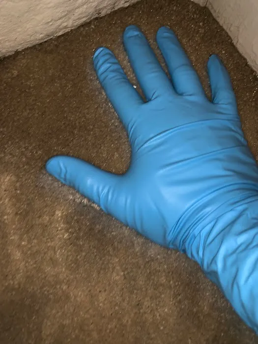 411 Restoration Picture 8