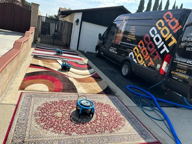 COIT Cleaning and Restoration Picture 4