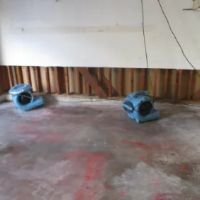 A#1 Insurance Repair Specialists ico