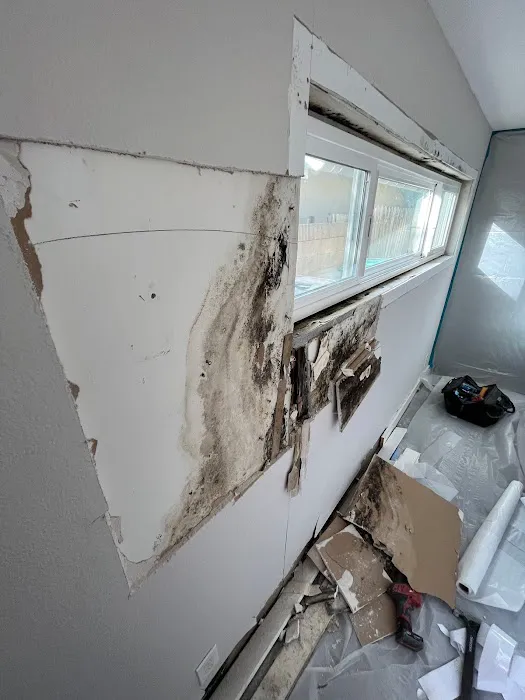 Code 3 Restoration and Decon Picture 9