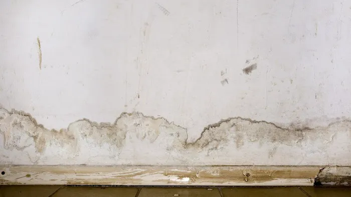 hickory Wate Damage Restoration Picture 1