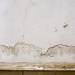 hickory Wate Damage Restoration