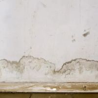 hickory Wate Damage Restoration ico