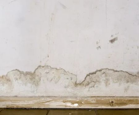 hickory Wate Damage Restoration