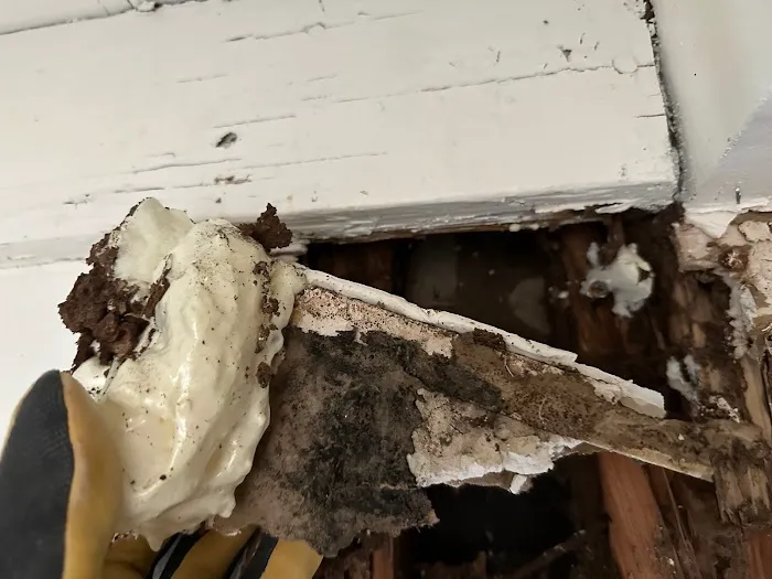 Restored Right - Laguna Beach Water Damage Restoration, Mold Remediation, & Fire Damage Restoration Picture 10