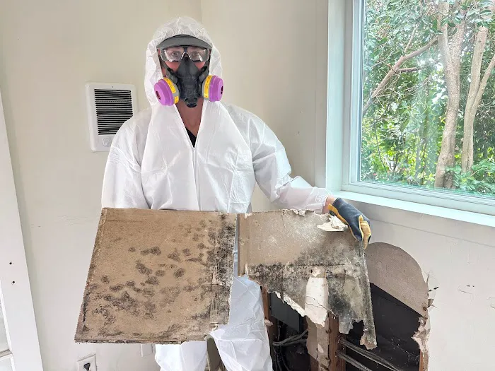 Restored Right - Laguna Beach Water Damage Restoration, Mold Remediation, & Fire Damage Restoration Picture 1