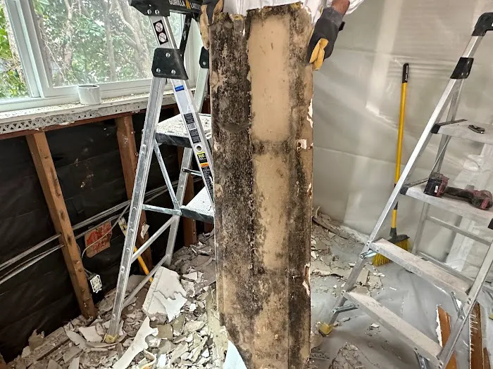 Restored Right - Laguna Beach Water Damage Restoration, Mold Remediation, & Fire Damage Restoration Picture 7