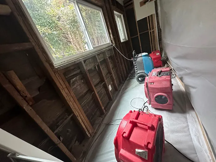 Restored Right - Laguna Beach Water Damage Restoration, Mold Remediation, & Fire Damage Restoration Picture 6