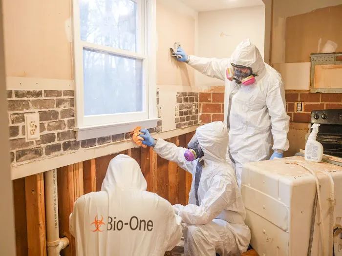 Bio-One South OC Picture 2