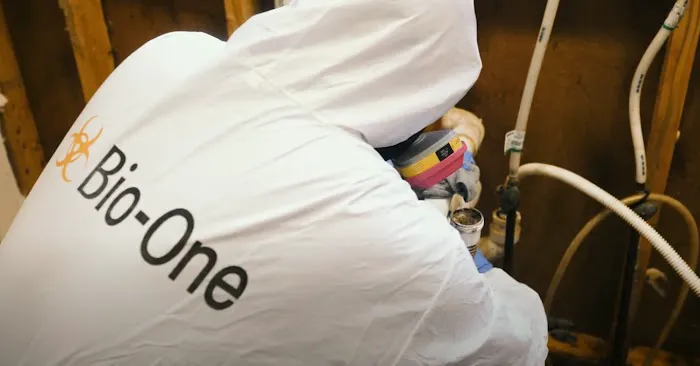 Bio-One South OC Picture 8