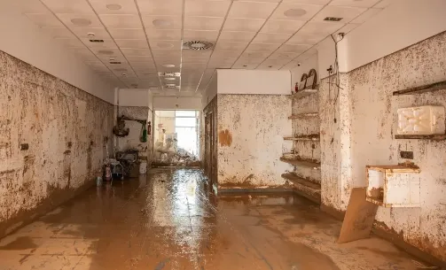 Water Damage Restoration Street LP Picture 1