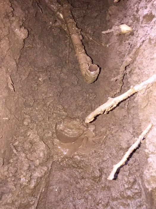 Pegasus Leak Detection - Leak Detection Company Picture 3