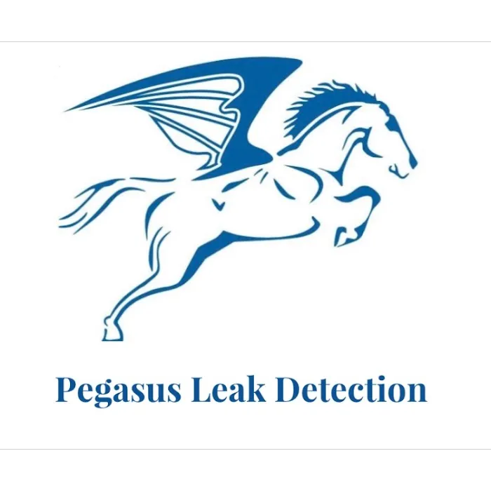 Pegasus Leak Detection - Leak Detection Company Picture 5