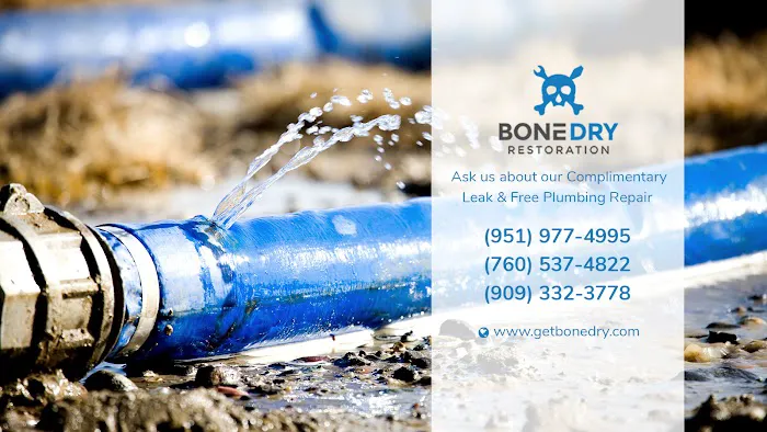 Bone Dry Restoration Picture 7