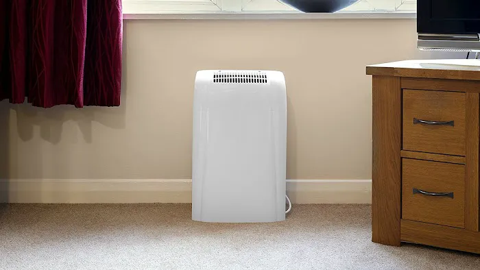 Bone Dry Restoration Picture 3