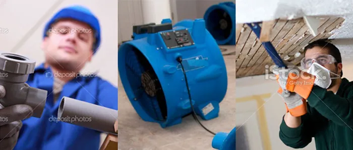 Bone Dry Restoration Picture 4