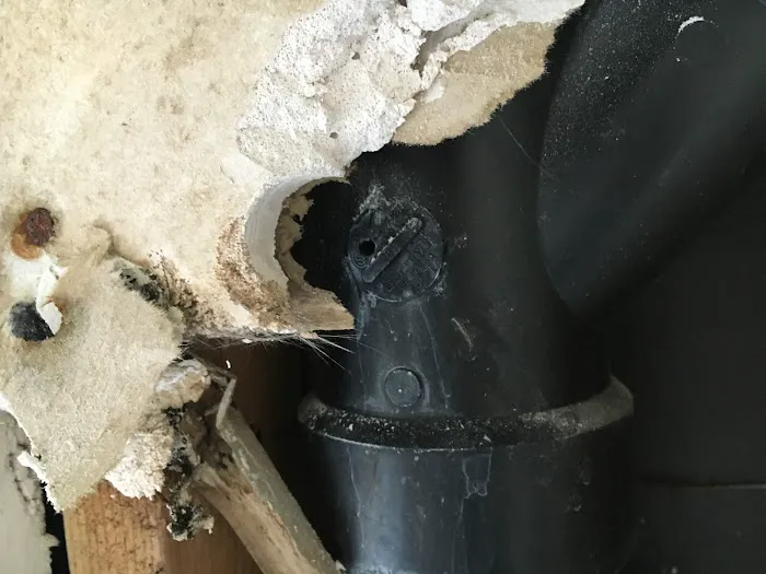 Leak Restoration Services Picture 7