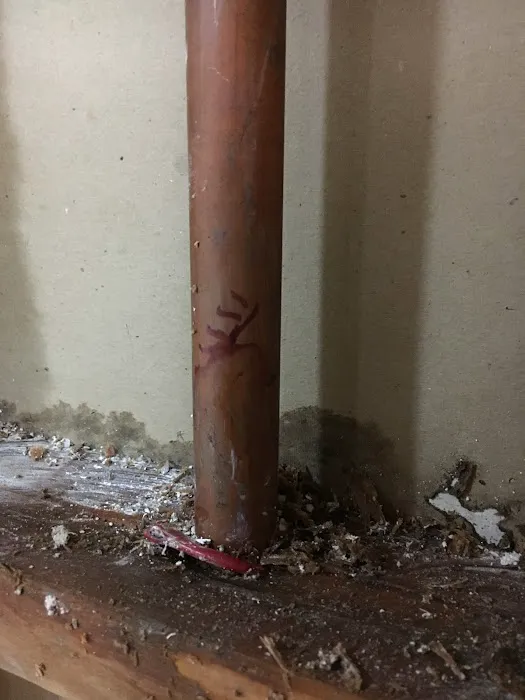 Leak Restoration Services Picture 8