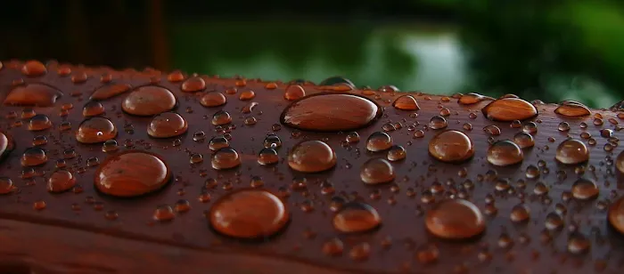 Leak Restoration Services Picture 4