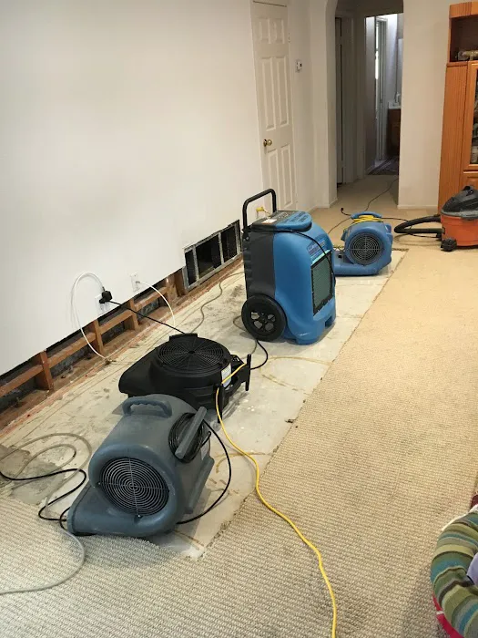 Leak Restoration Services Picture 1