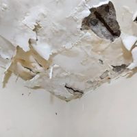 Reliable Water Damage Dana Point Experts ico