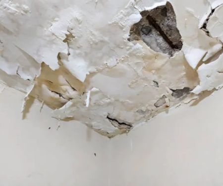 Reliable Water Damage Dana Point Experts