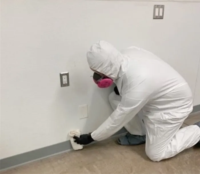 A#1 Insurance Repair Specialists Picture 9