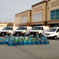 Thunder & Lightning Services ico