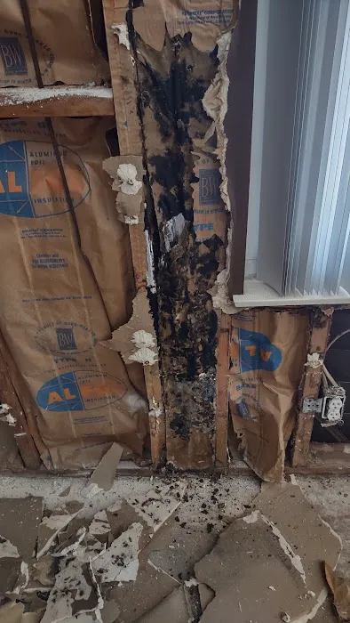 Element Restoration & Construction Picture 5