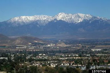 Element Restoration & Construction Picture 4