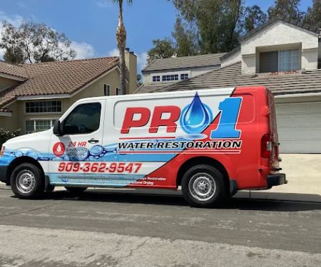 Pro 1 Water Restoration