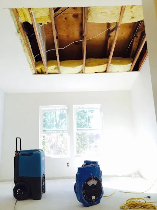 Kade Restoration Picture 8