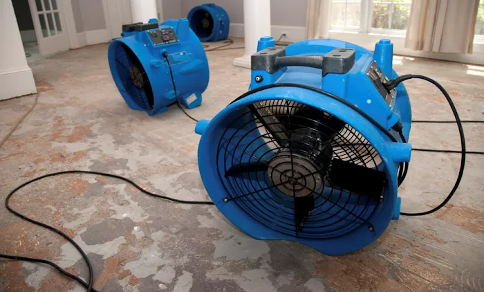 Kade Restoration Picture 10