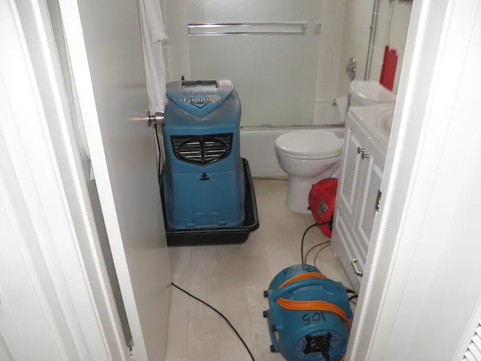 Best Quality Restoration Picture 3