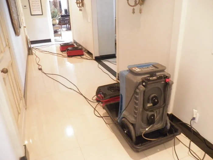 Best Quality Restoration Picture 2