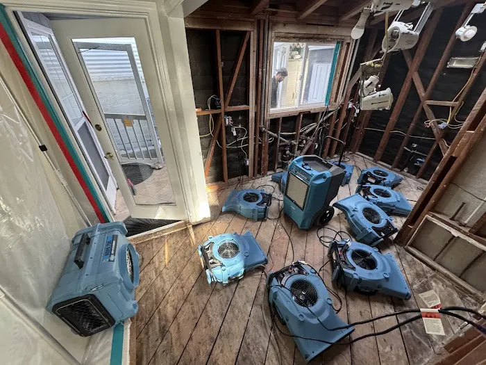 Restored Right - San Clemente Water Damage Restoration, Mold Remediation, & Fire Damage Restoration Picture 6