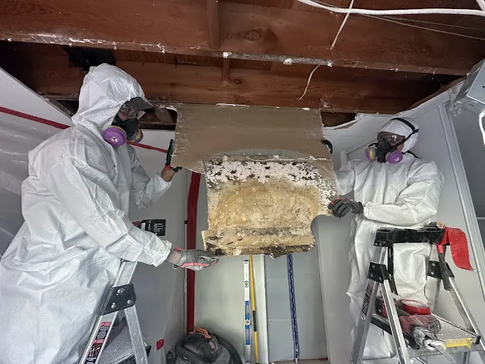 Restored Right - San Clemente Water Damage Restoration, Mold Remediation, & Fire Damage Restoration Picture 9