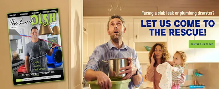 South County Restoration Picture 3